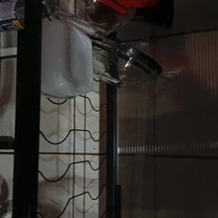 Foto 2 da avaliação de Cliente